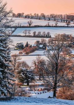 a snowy landscape with trees and houses in the distance