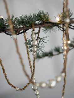 a branch with beads and lights hanging from it