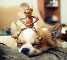 a dog laying on top of a couch with a wooden toy in the shape of a man