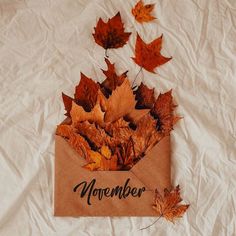 an envelope filled with leaves sitting on top of a white sheet covered in writing that reads november