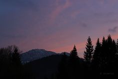 the sky is pink and purple as the sun sets in the distance with trees silhouetted against it