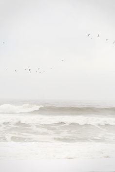 birds flying over the ocean on a foggy day with waves crashing in to shore