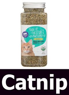 Whisker City Organic Catnip - 2oz. Pet Care Tips, Pharmacy Gifts, Pet Care, Small Pets, Reptiles, Pet Birds, Dog Cat