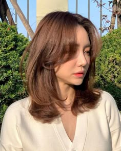 CHAHONG MEDIUM HAIR STYLE Color Hair, Medium Hair, Perm, Medium Hair Styles, Color, Hair Colour