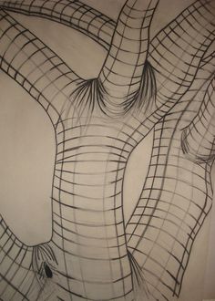 a drawing of a tree with lines on it