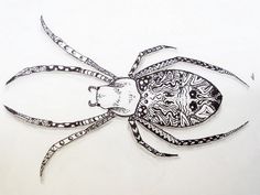 a drawing of an octopus with intricate designs on it's back legs and head