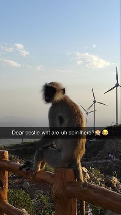 a monkey sitting on top of a wooden fence next to wind mills in the background