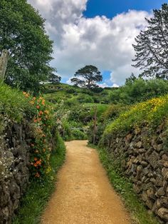 a dirt road that is surrounded by trees and flowers on both sides, leading into the distance