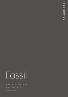 the front cover of fossil magazine