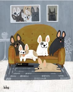 three dogs are sitting on the couch in front of two cats