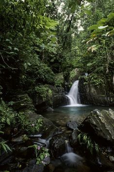 a small waterfall in the middle of a forest filled with lots of trees and rocks