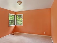 an empty room with orange walls and carpet