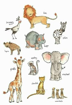 an illustration of different animals and their names