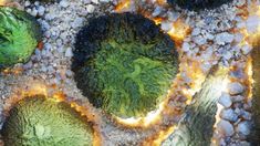 some kind of green substance on top of rocks and gravel with fire in the middle