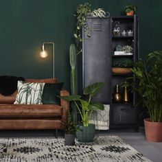 a living room with green walls and leather couches, potted plants and bookshelves