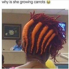 Haircut Fails, Carrot Hairstyles, Funny Baby Images, Justin Bieber Jokes, American Funny Videos, Friday Pictures, Funny Dog Photos, Carrot Top