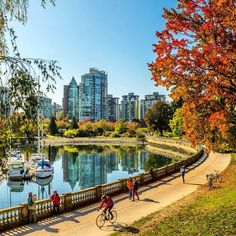 people are riding bikes along the water in front of some buildings and trees with autumn foliage