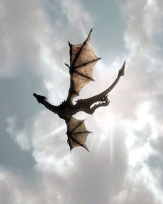 a dragon flying through the sky with its wings spread