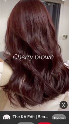 Auburn Hair Olive Skin Tone, Dark Autumn Red Hair, Dark Red Hair Straight, Soft Mahogany Brown Hair, Cherry Cola Hair With Highlights, Mocha Red Hair, Soft Red Hair Color, Chocolate Auburn Hair Color, Dark Auburn Red Hair