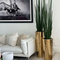 a living room filled with white couches and two tall plants in gold vases