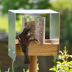 a bird sitting on top of a wooden feeder