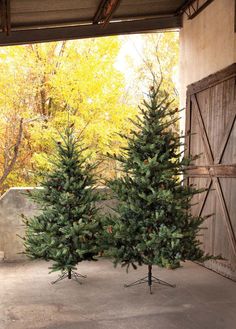 two christmas trees sitting on top of a cement floor in front of a wooden door