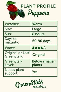 a poster with the names of plants and their corresponding parts to describe what they are