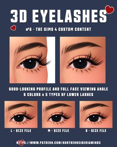 the steps to create an eyeliner for your eyes with 3d lashes and long eyelashes