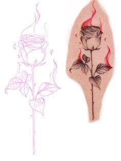 a drawing of a rose with flames coming out of it and the image is drawn in pink ink