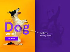 a dog standing on its hind legs in front of an orange and purple background with the words dog woof