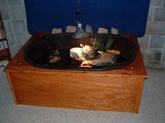 a fish tank with rocks and plants in it