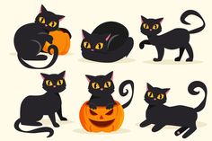 black cats with pumpkins and jack - o'- lanterns