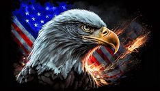 an eagle with the american flag painted on it's chest and head, in front of a black background