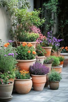 many potted plants are lined up on the side of a building with flowers in them