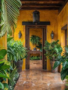 a yellow house with potted plants on the outside and an open door leading to another room