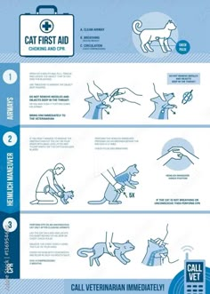 an info sheet with instructions on how to use the cat first aid system for cats