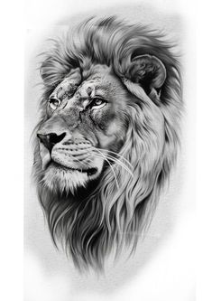 a black and white drawing of a lion's head