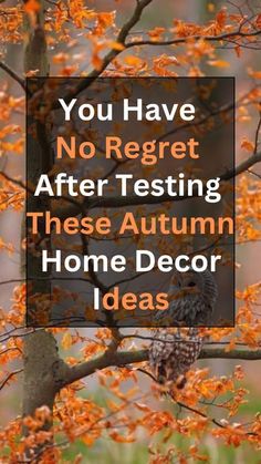 an owl sitting on top of a tree with orange leaves in front of it and the words you have no reget after testing, these autumn home decor ideas