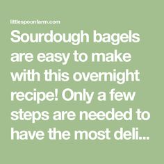 a quote that says soupdough bags are easy to make with this overnight recipe only a few steps are needed to have the most deli