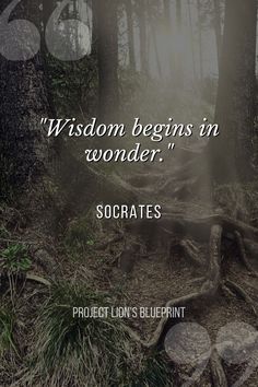 a forest with trees and the words, wisdom begins in wonder socrates project lion's blueprint