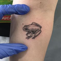 a small frog tattoo on the arm