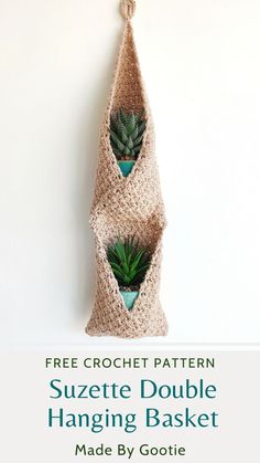 a crochet hanging basket with two succulents in it