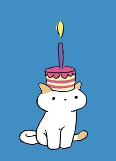 a cat with a birthday cake on it's head sitting in front of a blue background