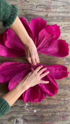 two hands are holding the petals of a large pink flower on a wooden table top