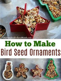 homemade bird seed ornaments with text overlay that says how to make bird seed ornaments