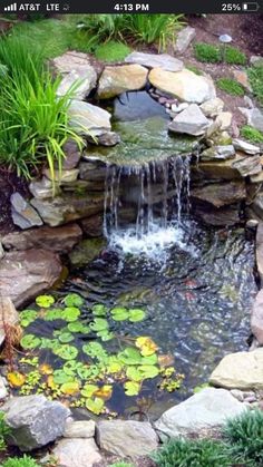 a small pond with water lilies in it and some rocks around the fish pond