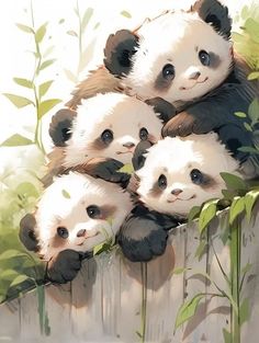 four panda bears sitting on top of each other in front of bamboo plants and greenery