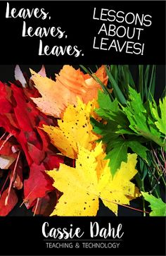 leaves, leaves, and leaves about leaves by casssie mall teaching & technology