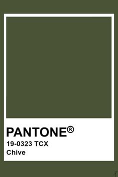 the pantone color is shown in olive green