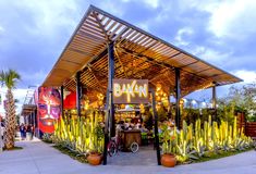 an outdoor restaurant with plants and lights on the outside